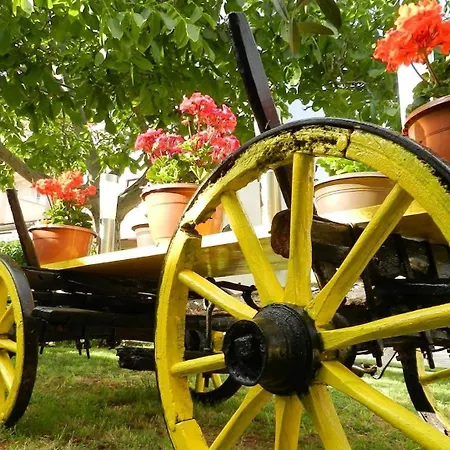 Fuer 4 Personen Ca 74 Qm In Vinkuran, Istrien Istrische Riviera Vinkuran